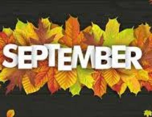 R SCHNEIDER’S THIS AND THAT SEPTEMBER